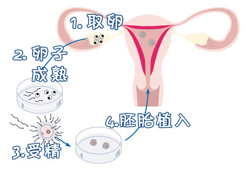 林医生